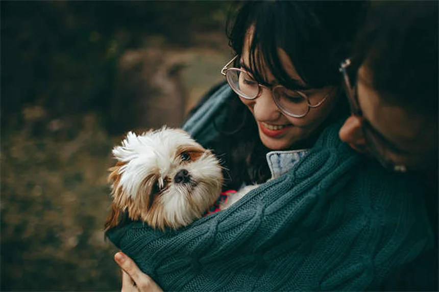 愛犬に「ふせ」を教えるたった3ステップ！もう失敗しないコツと注意点